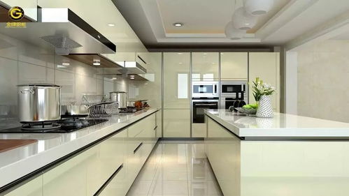廚房的專業(yè)設(shè)計(jì) 更高要求驅(qū)動(dòng)更專業(yè)方案